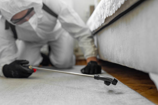 Professional Termite Control technician working in Nemacolin, PA