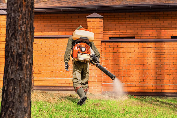 Top rated local Termite Control specialists in Nemacolin, PA